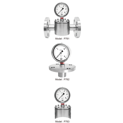P761,P762,P763_Pressure gauge with diaphragm seal